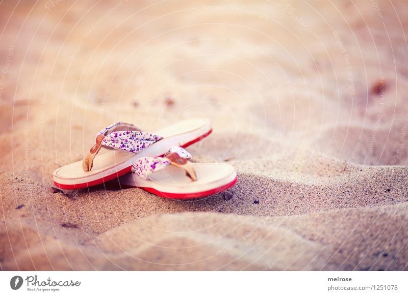 Strandgut Stil Design Sommerurlaub Sandstrand Landschaft Sonne Schönes Wetter Badeschuhe Flipflops Schwimmen & Baden Erholung genießen träumen einfach schön