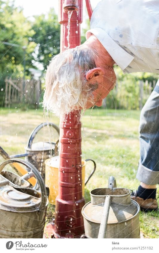 pZ3 l erfrischen an einem Hitzetag Wellness Sommer Mensch maskulin Mann Erwachsene Leben Kopf 1 Garten Mut Freude Kühlung Wasser Wassertropfen Wasserpumpe