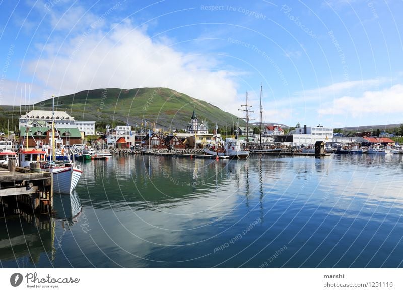 Husavik Natur Landschaft Berge u. Gebirge Küste Bucht Fjord Meer Insel Verkehrsmittel Verkehrswege Schifffahrt Kreuzfahrt Bootsfahrt Containerschiff Hafen