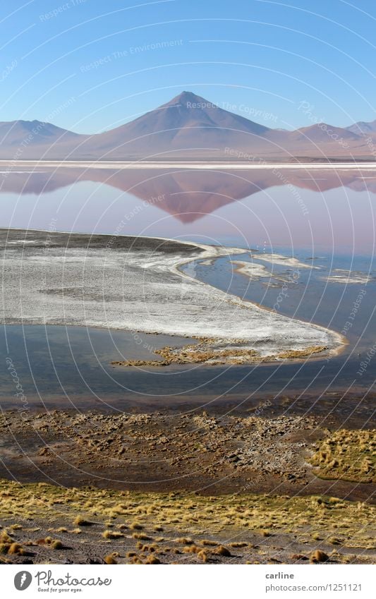 La laguna colorada Umwelt Natur Landschaft Urelemente Erde Wasser Himmel Wolkenloser Himmel Klima Wetter Schönes Wetter Pflanze Algen Hügel Felsen