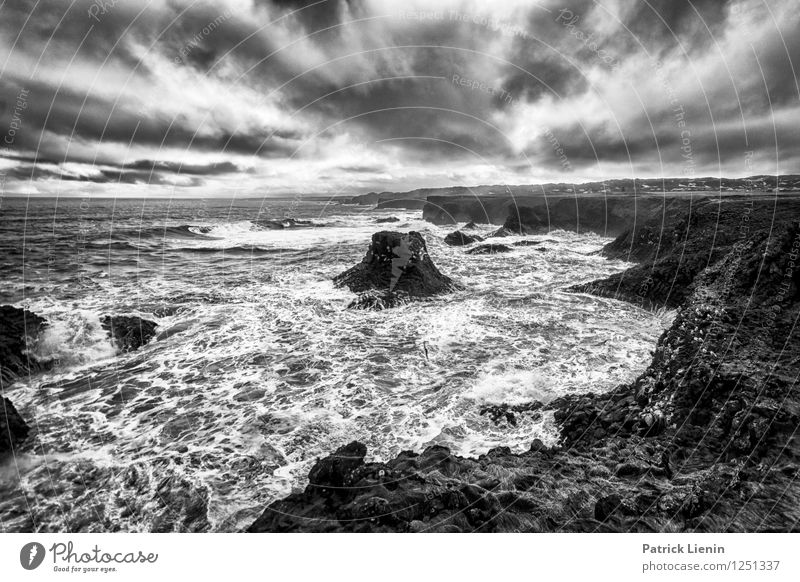 Es wird Regen geben Umwelt Natur Landschaft Urelemente Erde Himmel Wolken Gewitterwolken Klima Klimawandel Wetter schlechtes Wetter Unwetter Wind Sturm Wellen