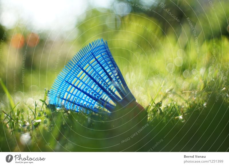 Imitat Sport Fitness Sport-Training Ballsport hell blau grün rot Federball imitieren Kunststoff Netz Rasen Badminton liegen fallen Farbfoto Außenaufnahme