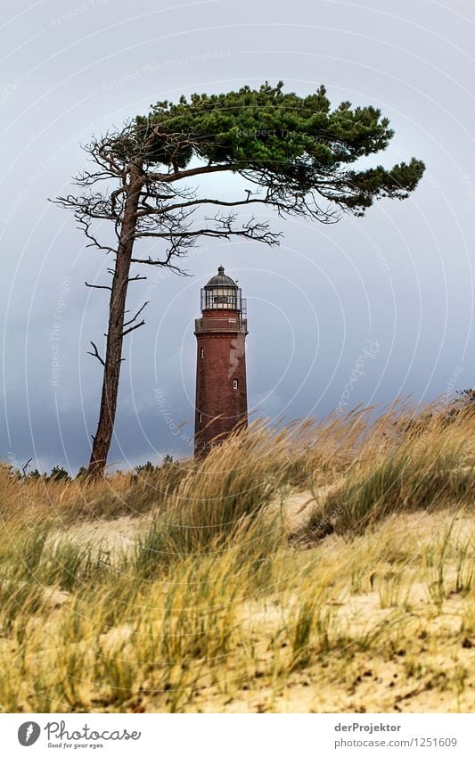 Natürlicher Regenschutz Ferien & Urlaub & Reisen Tourismus Ferne Freiheit wandern Umwelt Natur Landschaft Pflanze Tier Urelemente Winter schlechtes Wetter