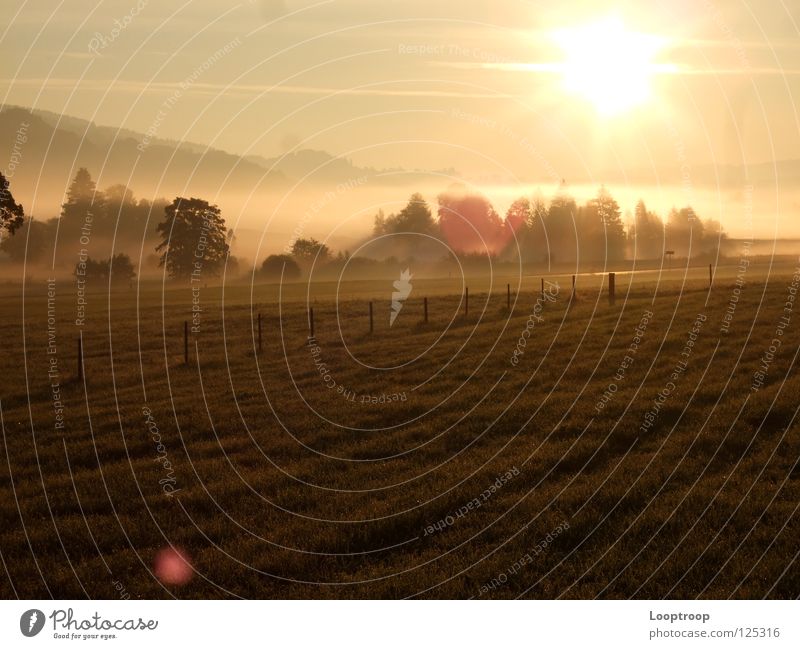 Sonnenaufgang im Allgäu Nebel Feld Wiese Alpen Berge u. Gebirge