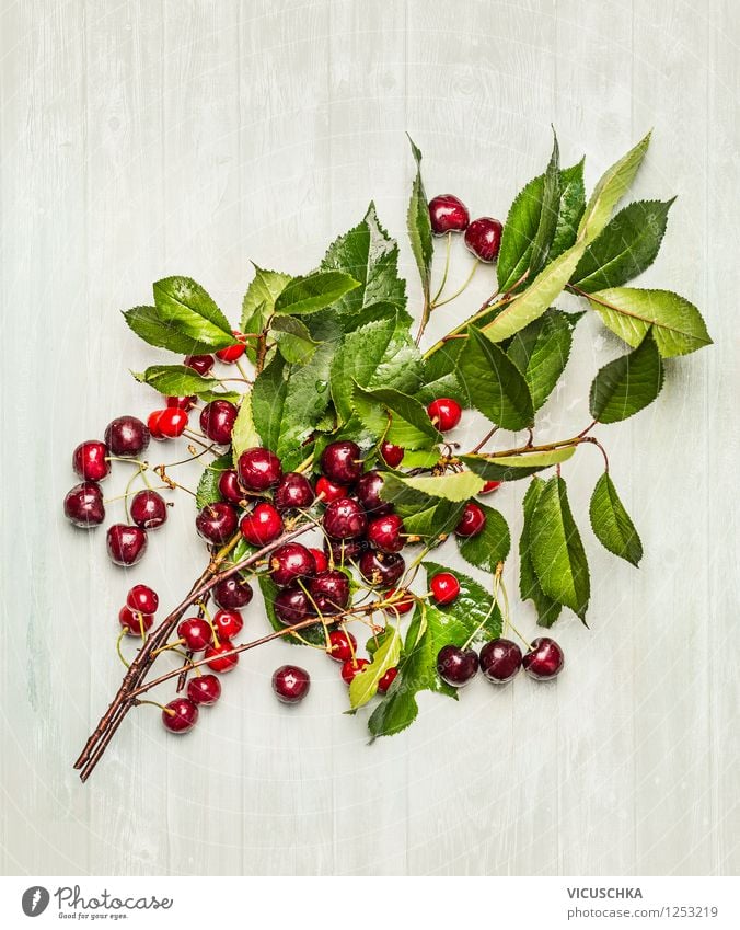 Kirschen aus dem garten Lebensmittel Frucht Dessert Ernährung Frühstück Bioprodukte Vegetarische Ernährung Diät Saft Stil Design Gesunde Ernährung Sommer Garten