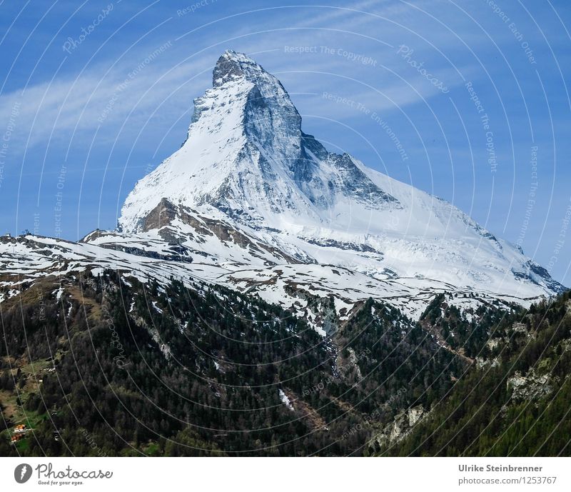 No matter how 2 Ferien & Urlaub & Reisen Tourismus Ausflug Freiheit Schnee Berge u. Gebirge Umwelt Natur Landschaft Pflanze Frühling Schönes Wetter Baum Alpen