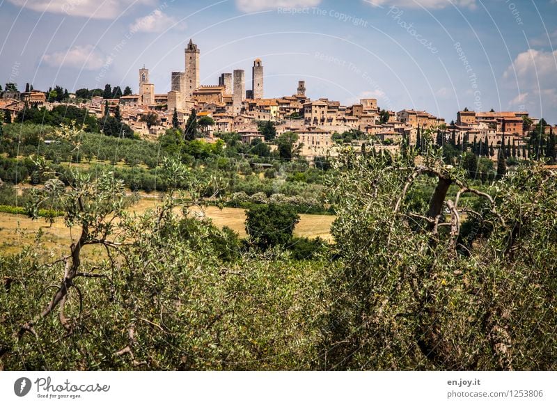 mittelalterlich Ferien & Urlaub & Reisen Tourismus Ausflug Sightseeing Städtereise Sommer Sommerurlaub Umwelt Landschaft Himmel Olivenbaum Hügel San Gimignano