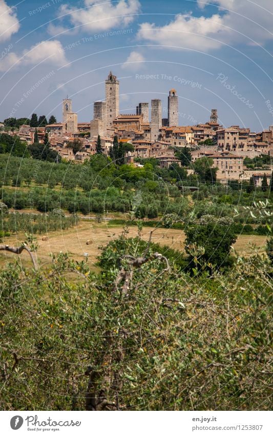 Urlaub Ferien & Urlaub & Reisen Tourismus Ausflug Sightseeing Städtereise Sommer Sommerurlaub Umwelt Natur Landschaft Himmel Sonnenlicht Schönes Wetter