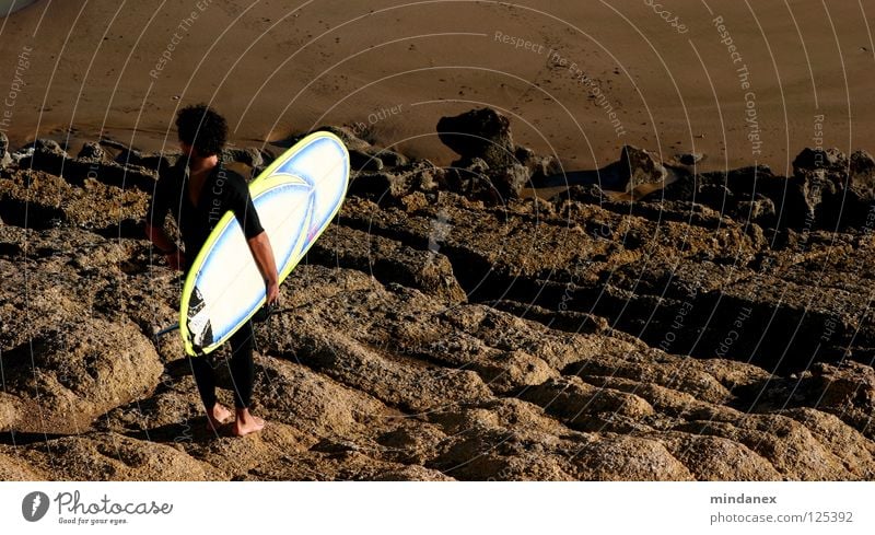 Ebbe? Meer Surfen Surfer Surfbrett braun Küste Wassersport Sand Felsen