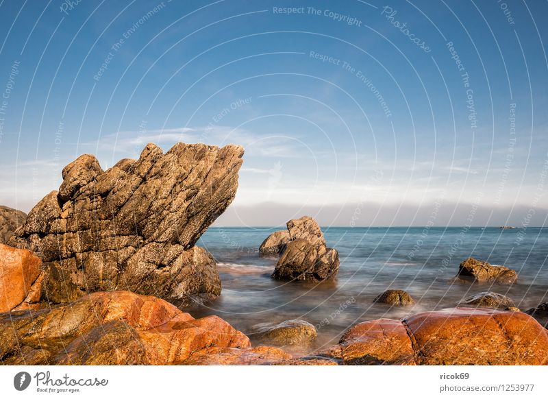 Atlantikküste in der Bretagne Erholung Ferien & Urlaub & Reisen Natur Landschaft Wolken Felsen Küste Sehenswürdigkeit Stein Tourismus Ploumanac’h