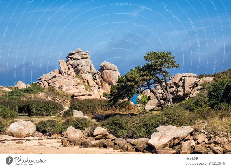 Atlantikküste in der Bretagne Erholung Ferien & Urlaub & Reisen Natur Landschaft Wolken Baum Felsen Küste Sehenswürdigkeit Stein Tourismus Ploumanac’h