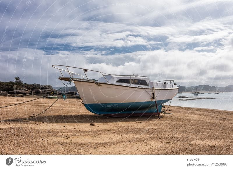 Hafen in der Bretagne Erholung Ferien & Urlaub & Reisen Natur Landschaft Wolken Baum Küste Sehenswürdigkeit Wasserfahrzeug Tourismus Atlantik Ploumanac’h