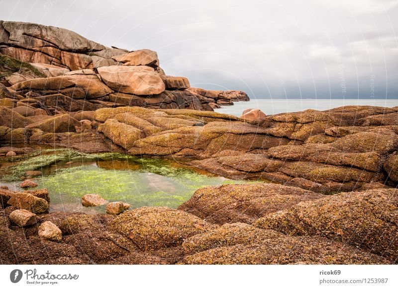 Atlantikküste in der Bretagne Erholung Ferien & Urlaub & Reisen Natur Landschaft Wolken Felsen Küste Sehenswürdigkeit Stein Tourismus Ploumanac’h