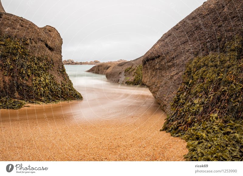 Atlantikküste in der Bretagne Erholung Ferien & Urlaub & Reisen Natur Landschaft Wolken Felsen Küste Sehenswürdigkeit Stein Ploumanac’h Rosa Granitküste