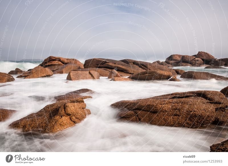 Atlantikküste in der Bretagne Erholung Ferien & Urlaub & Reisen Natur Landschaft Wolken Felsen Küste Sehenswürdigkeit Stein Tourismus Ploumanac’h