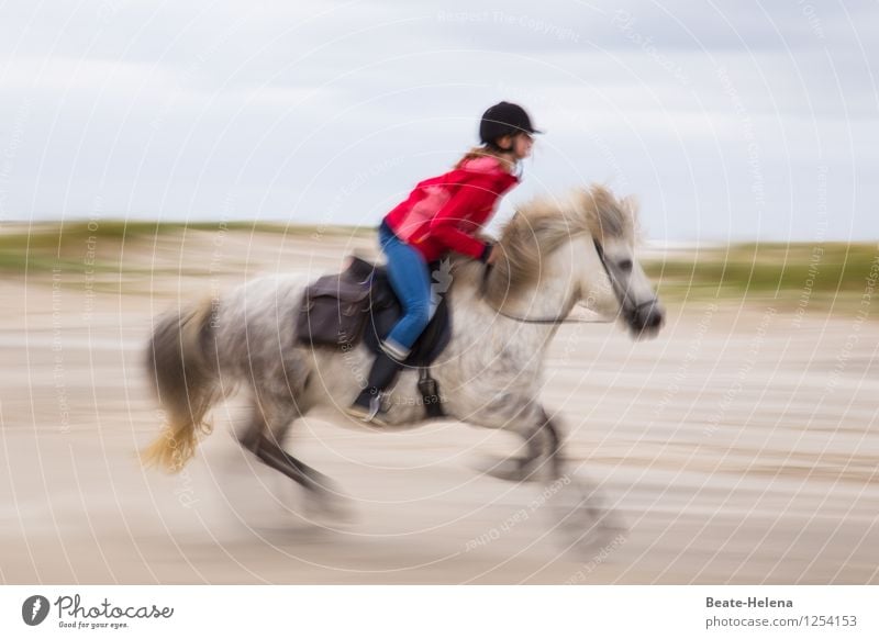 600 | im Galopp dem nächsten Ziel entgegen Lifestyle Ferien & Urlaub & Reisen Freiheit Sommerurlaub Sport Reitsport Natur Sand Wetter Küste Strand Hose Jacke