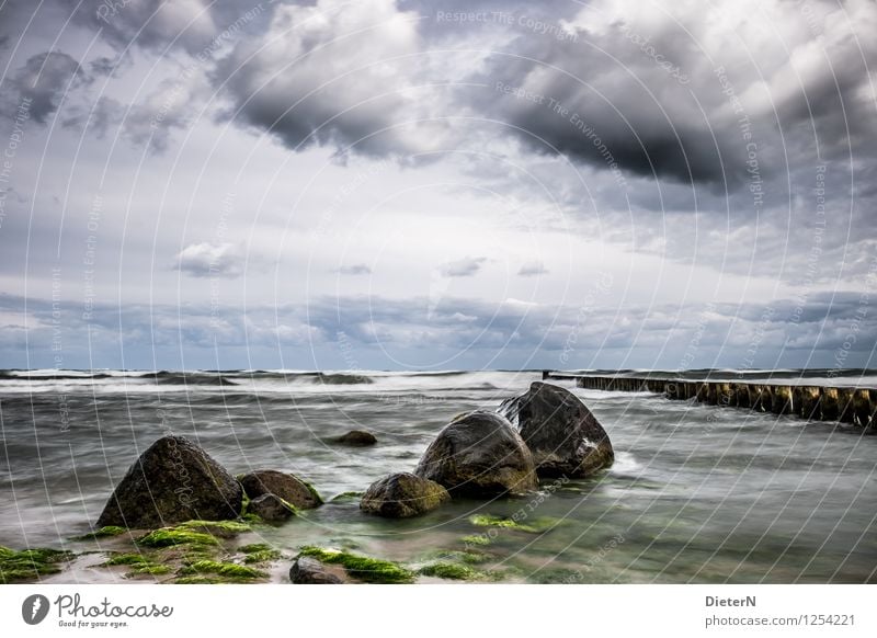 Formation Natur Landschaft Wasser Himmel Wolken Gewitterwolken Sommer Pflanze Wellen Küste Ostsee Meer blau schwarz weiß Stein Algen Horizont Wetter Buhne