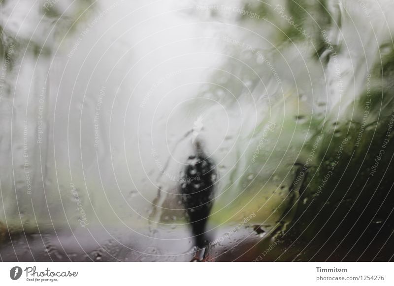 vielfältig... | Die Gedanken zu diesem Bild. Frau Erwachsene 1 Mensch Herbst schlechtes Wetter Regen Windschutzscheibe Glas Wasser stehen ästhetisch dunkel grau