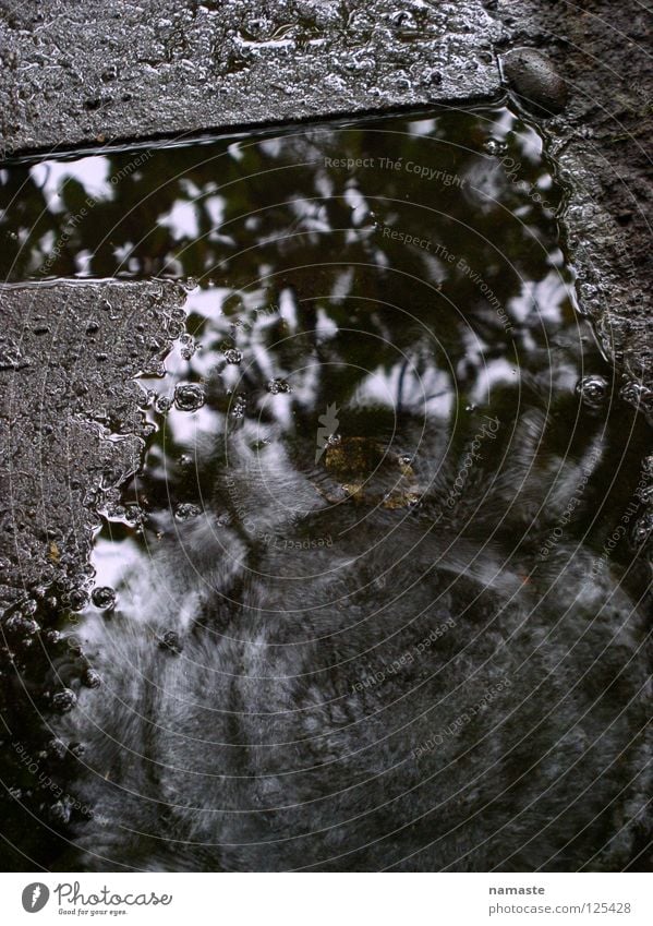 eine sekunde regen in dortmund Dortmund trist grau Regen Herbst Jahreszeiten Monsun Pfütze Regenwasser Steinplatten Konzentration Trauer Verzweiflung Wasser