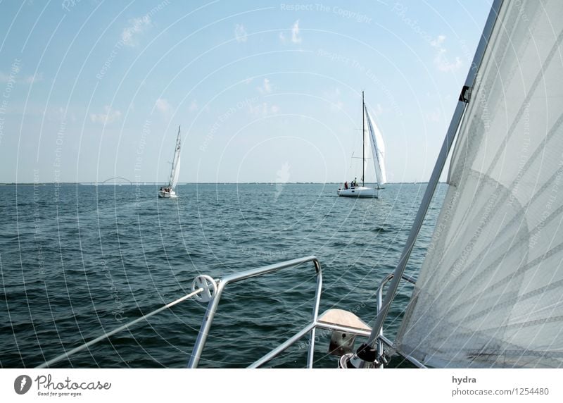 Lazing on a sunny afternoon Erholung Ferien & Urlaub & Reisen Sommerurlaub Meer Segeltörn Segeln Segelurlaub Yachting Reling Wellen Küste Ostsee Fjord Fehmarn