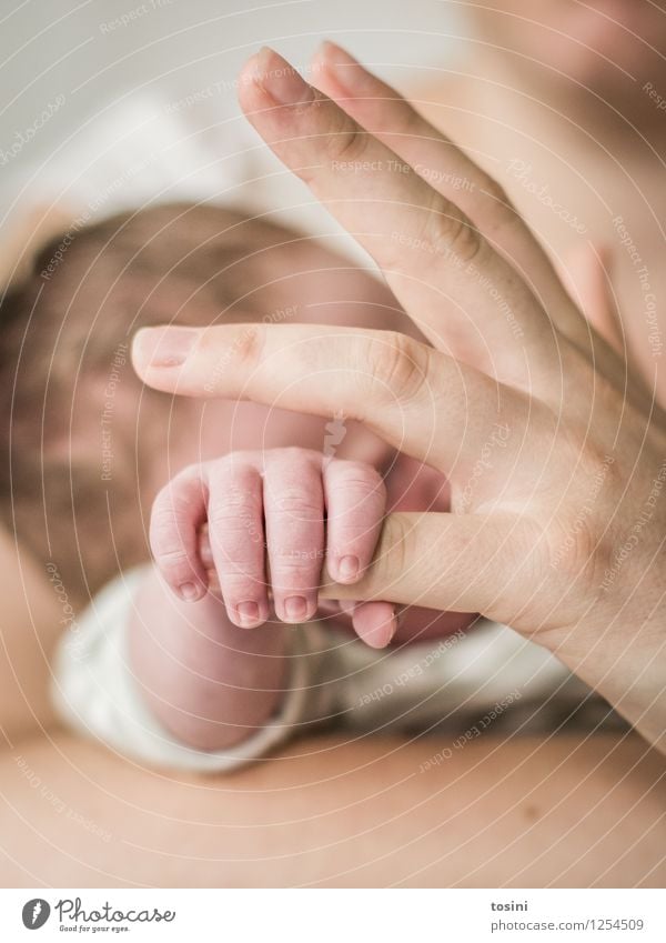 150 x Photocase: Hand in Hand Mensch Baby Finger 2 0-12 Monate Vertrauen Sicherheit Schutz Geborgenheit Warmherzigkeit Sympathie Freundschaft Zusammensein Liebe