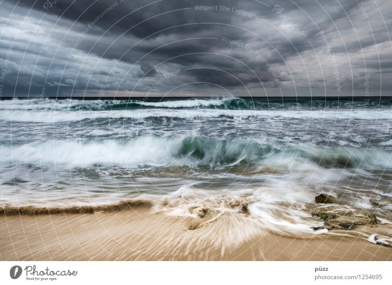 Sturm Strand Meer Wellen Umwelt Natur Landschaft Urelemente Wasser Himmel Wolken Gewitterwolken Klima schlechtes Wetter Unwetter Wind Küste Nordsee Ostsee