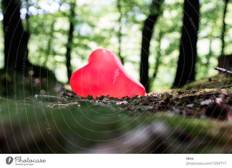 pZ 3 l Herz Luftballon Liebe Schmerz Verliebtheit Wald Einsamkeit einzeln finden gefühlsecht verloren liebe verloren Zufall Liebe Romantik herzförmig