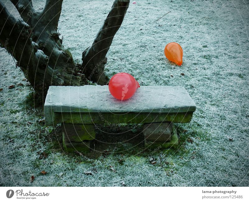 Kein Platz für uns beide Luftballon mehrfarbig knallig Kontrast Physik kalt Eis Winter Park Parkbank Sitzgelegenheit Wiese Steinbank Baum besetzen Einsamkeit