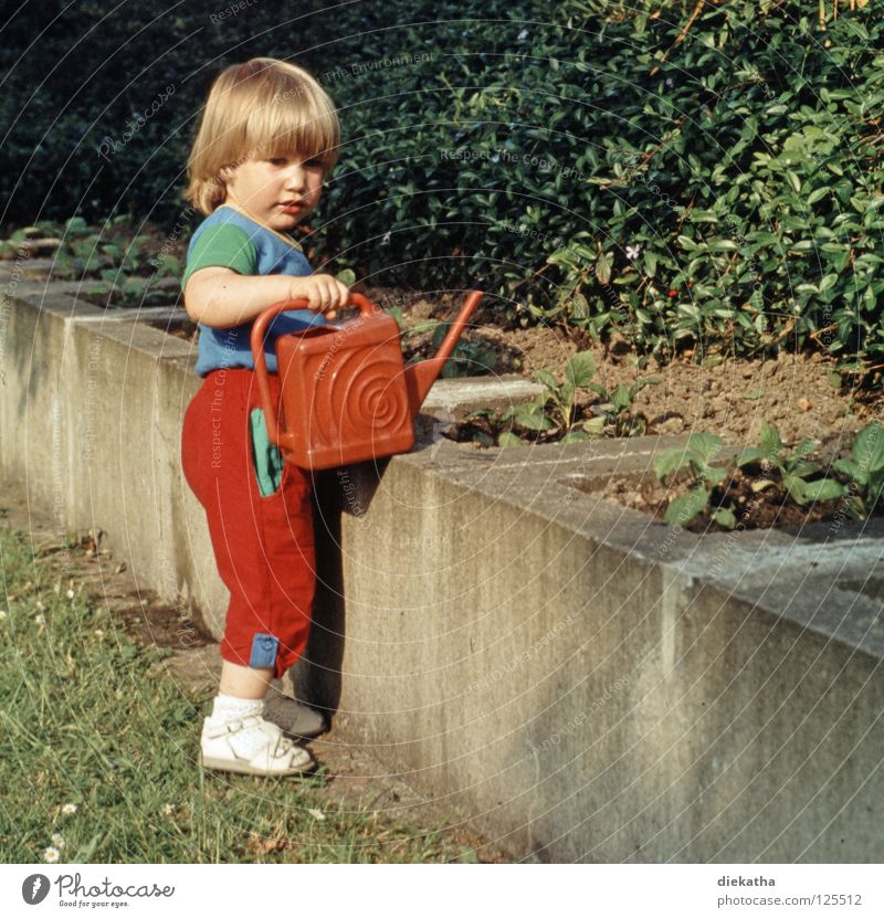 Fleißiges Lieschen Kind Mädchen Gießkanne Beet Arbeit & Erwerbstätigkeit Kübel Mauer Sommer früher Dia Achtziger Jahre Blume Gärtner blond Mensch Garten gießen