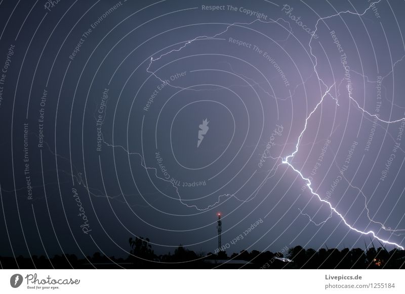 flash Umwelt Natur Landschaft Urelemente Luft Himmel Wolken Gewitterwolken Nachthimmel Stern Horizont Sommer Wetter schlechtes Wetter Unwetter Wind Pflanze Baum