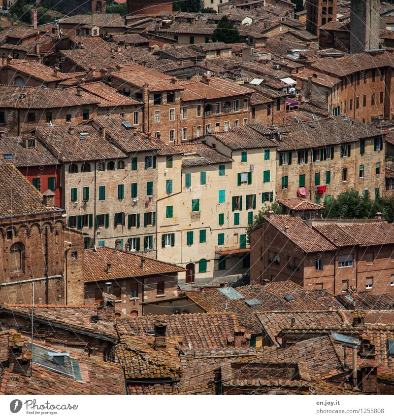 Lebensgemeinschaft Ferien & Urlaub & Reisen Tourismus Sightseeing Städtereise Sommer Sommerurlaub Häusliches Leben Siena Toskana Italien Stadt Stadtzentrum