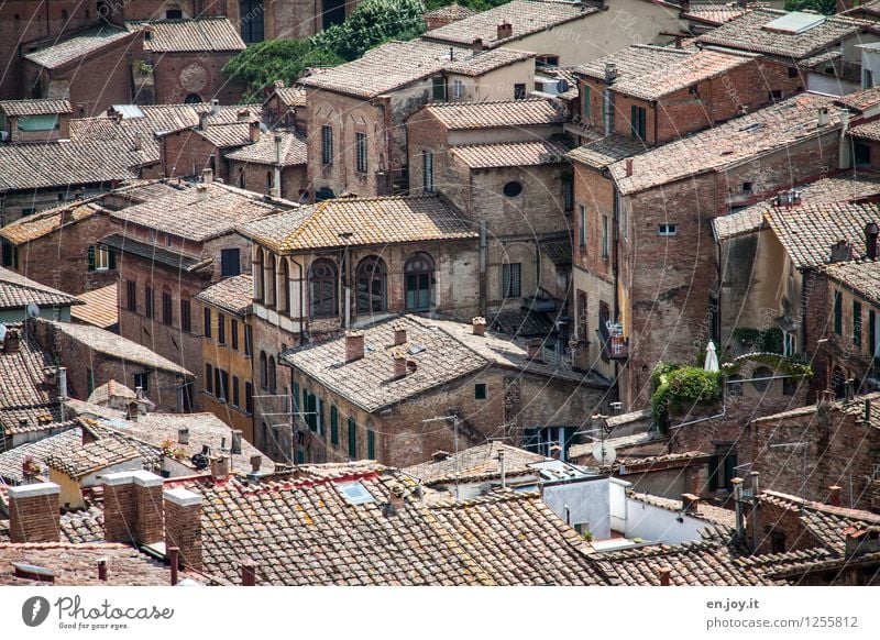 unübersichtlich Ferien & Urlaub & Reisen Abenteuer Sightseeing Städtereise Sommerurlaub Häusliches Leben Siena Toskana Italien Stadt Stadtzentrum Altstadt Haus