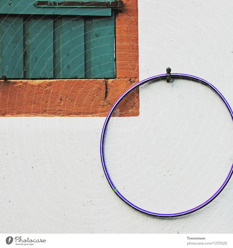 Spielen? Häusliches Leben Mauer Wand Fenster Hula Hoop Reifen Holz Kunststoff hängen ästhetisch einfach blau braun grün weiß Gefühle Fensterladen geschlossen