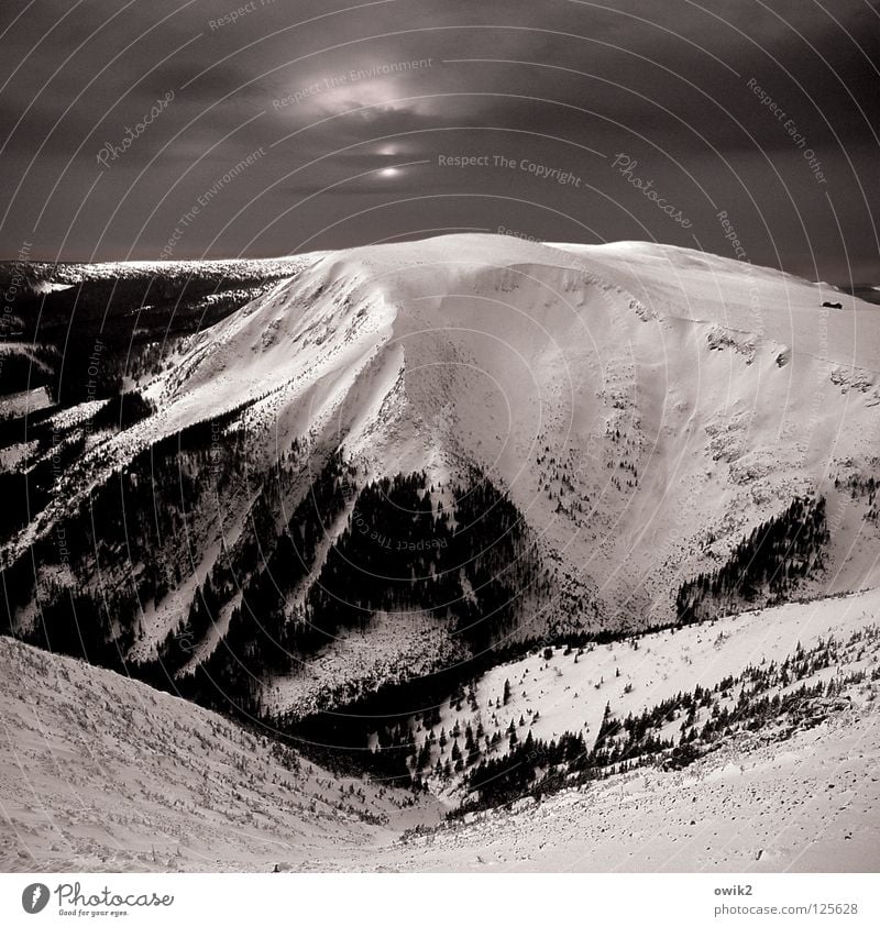 Auf den Hängen Winter Schnee Berge u. Gebirge Landschaft Urelemente Himmel Wolken Horizont Klima Schönes Wetter Baum Wald Riesengebirge Gipfel dunkel gigantisch