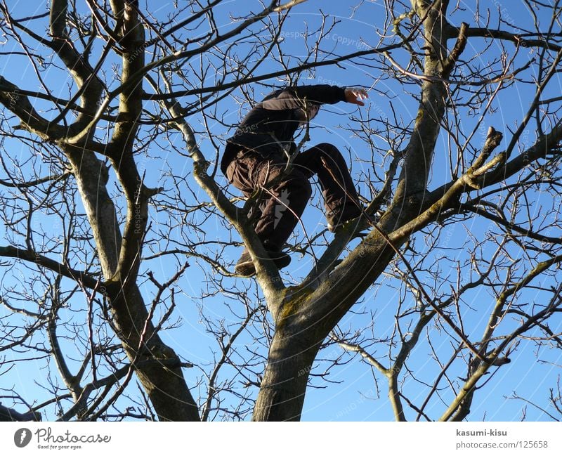 hoch hinaus! Baum Mann gefährlich Winter verrückt Freude Freizeit & Hobby Klettern Jungendlicher Ast bedrohlich Himmel