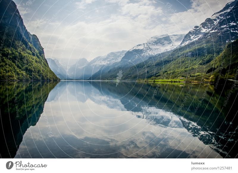 oldevatnet Umwelt Natur Landschaft Wasser Himmel Frühling Schnee Berge u. Gebirge Gipfel Schneebedeckte Gipfel Gletscher Seeufer blau grün weiß Norwegen Norden