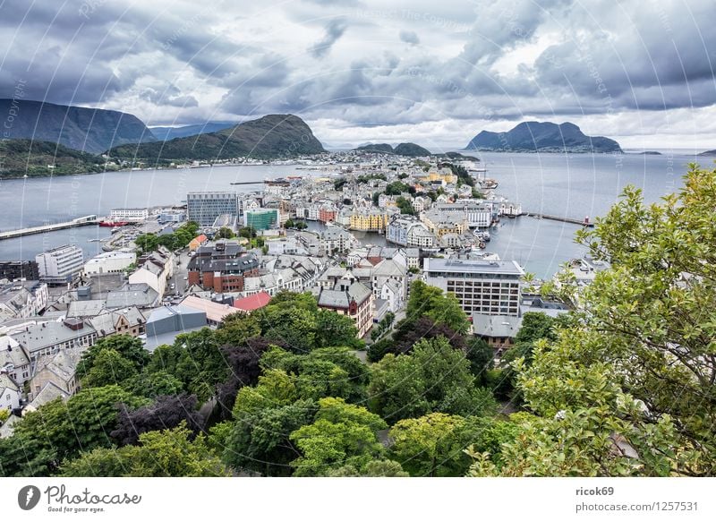 Blick auf Ålesund Ferien & Urlaub & Reisen Berge u. Gebirge Haus Natur Landschaft Baum Park Fjord Stadt Gebäude Architektur Tourismus Norwegen Møre og Romsdal