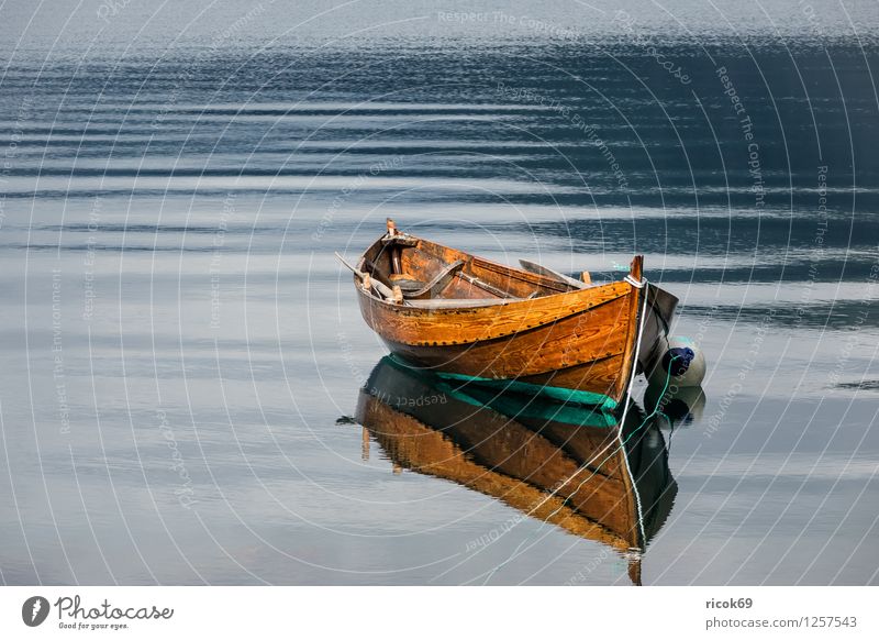 Boot auf dem Storfjord Erholung Ferien & Urlaub & Reisen Wasser Fjord Wasserfahrzeug alt Idylle Norwegen Norddal Møre og Romsdal Reiseziel Holzboot Farbfoto