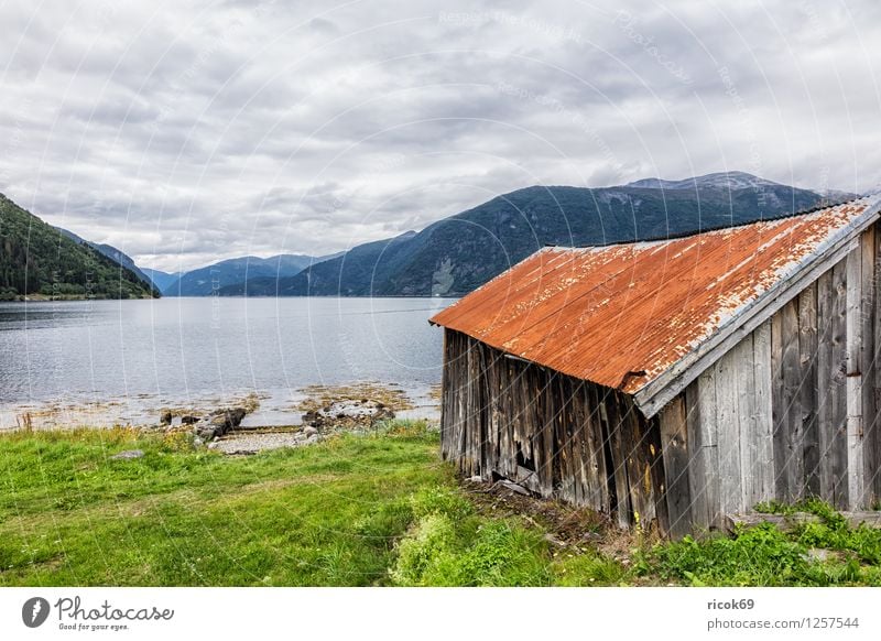 Bootsschuppen am Storfjord Erholung Ferien & Urlaub & Reisen Berge u. Gebirge Wasser Wolken Gras Fjord alt Idylle Natur Tourismus Bootshaus Norwegen Norddal