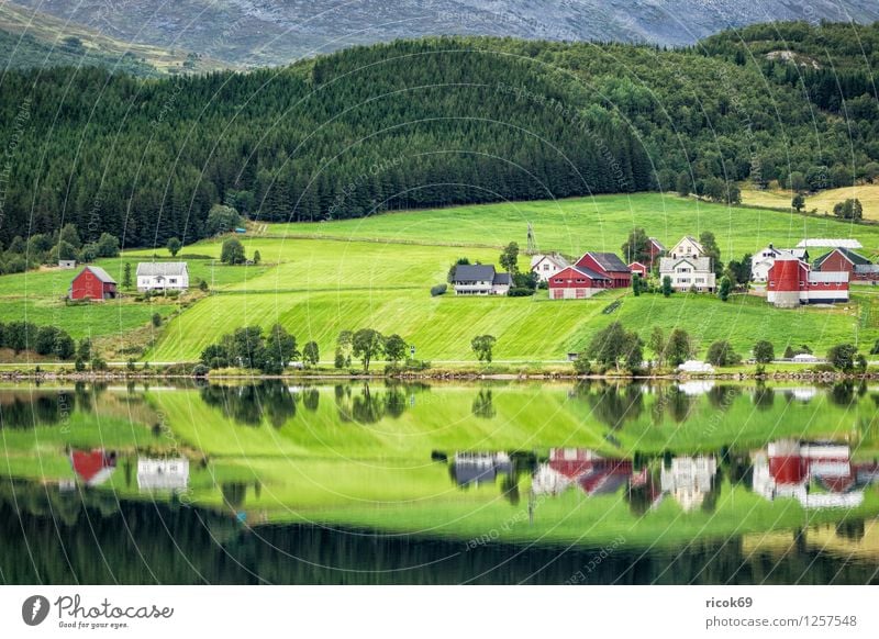 Bergsee in Norwegen Erholung Ferien & Urlaub & Reisen Berge u. Gebirge Haus Natur Landschaft Wasser See Hütte Gebäude Idylle Gebirgssee Møre og Romsdal