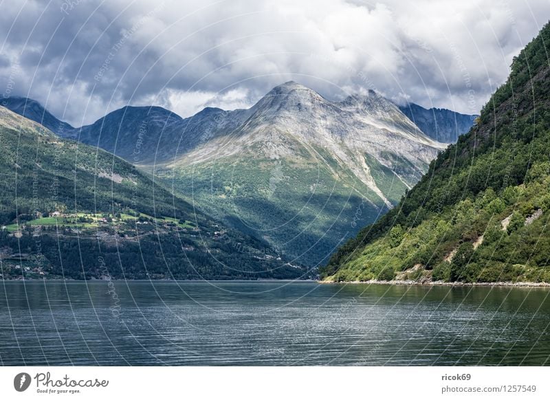 Storfjord in Norwegen Erholung Ferien & Urlaub & Reisen Berge u. Gebirge Natur Landschaft Wasser Wolken Fjord Meer Idylle Tourismus Norddal Møre og Romsdal