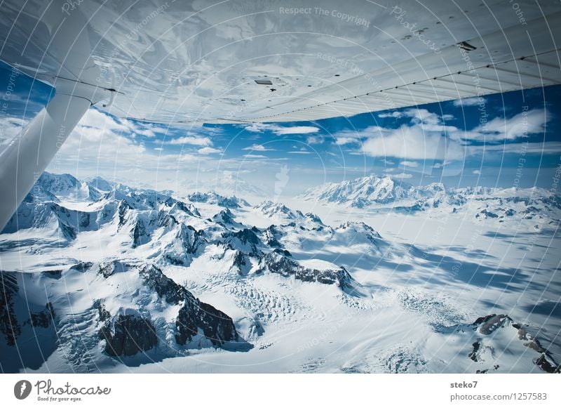 Gletscher-Land VII Berge u. Gebirge Gipfel Schneebedeckte Gipfel im Flugzeug fliegen frei gigantisch Unendlichkeit kalt blau weiß Einsamkeit Horizont Ferne