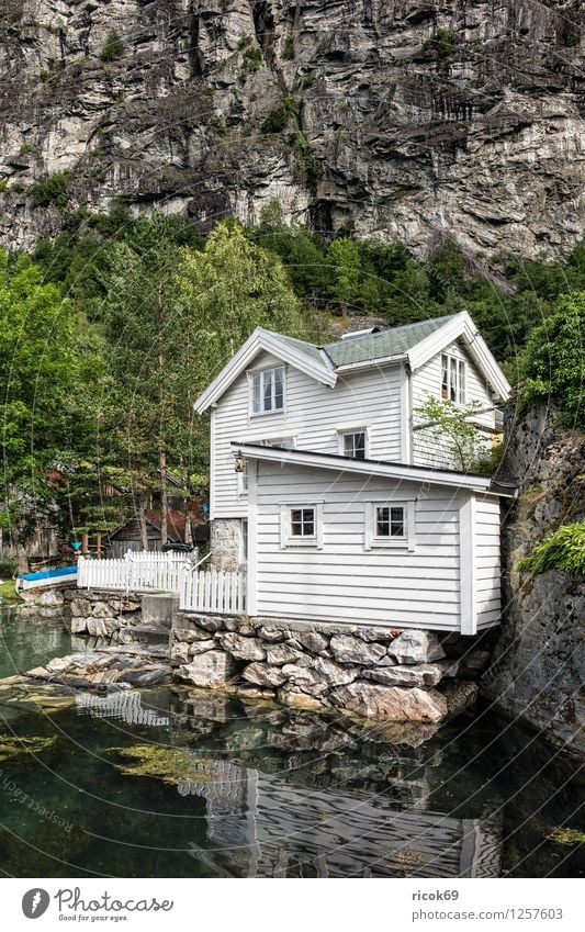 Ein Haus in Geiranger Erholung Ferien & Urlaub & Reisen Berge u. Gebirge Natur Landschaft Wasser Baum Wald Hütte Gebäude Architektur Idylle Tourismus