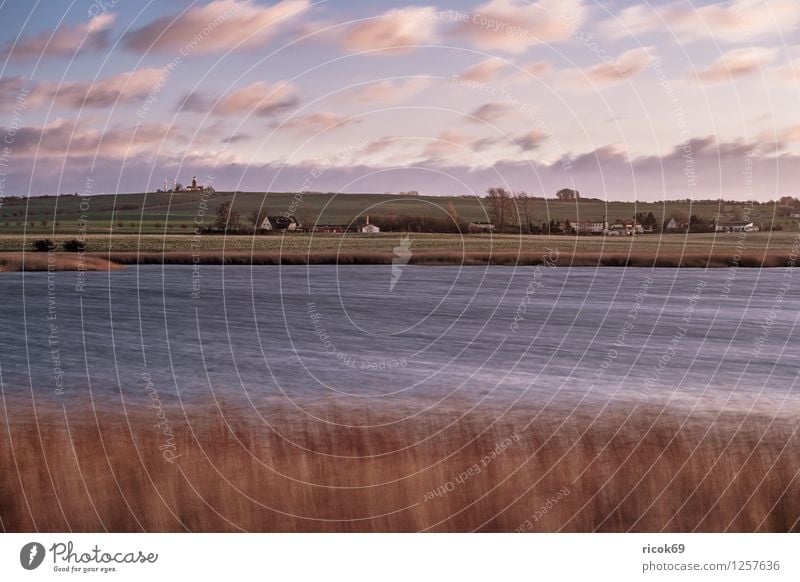 Blick über den Riedensee Erholung Ferien & Urlaub & Reisen Landschaft Wasser Küste Leuchtturm Romantik Idylle Natur Schilfrohr Mecklenburg-Vorpommern Buk