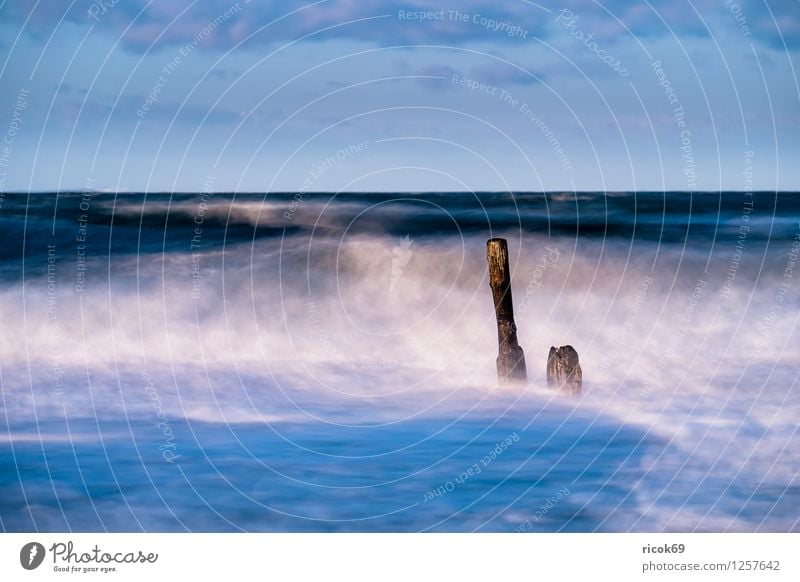 Buhne an der Ostsee Erholung Ferien & Urlaub & Reisen Strand Meer Wellen Natur Landschaft Wasser Sturm Küste Holz Romantik Idylle Tourismus Buhnen