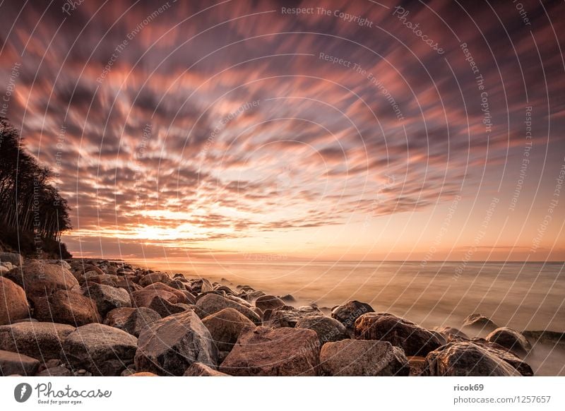 Sonnenuntergang an der Ostseeküste Erholung Ferien & Urlaub & Reisen Strand Meer Landschaft Wasser Sonnenaufgang Baum Küste Romantik Idylle Natur Tourismus