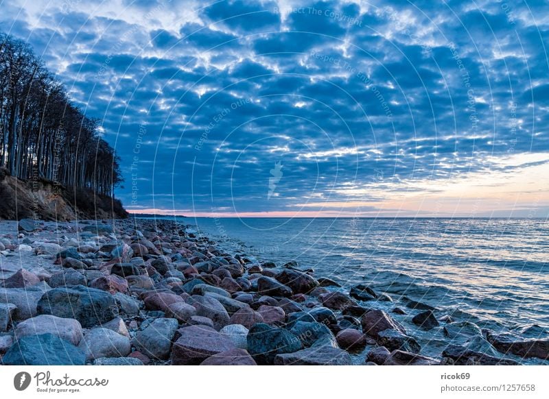 Steine an der Ostsee Erholung Ferien & Urlaub & Reisen Strand Meer Landschaft Wasser Felsen Küste blau Natur Tourismus Mecklenburg-Vorpommern Heiligendamm