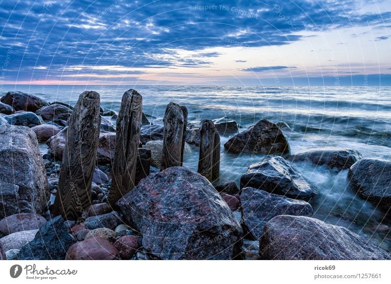 Buhne an der Ostsee Erholung Ferien & Urlaub & Reisen Strand Meer Landschaft Wasser Felsen Küste Stein blau Mecklenburg-Vorpommern Heiligendamm Himmel