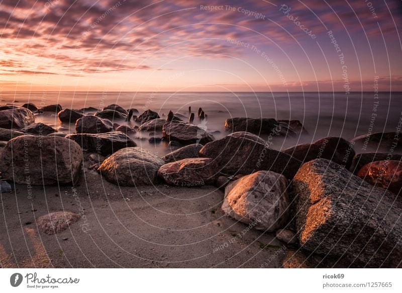 Steine an der Ostsee Erholung Ferien & Urlaub & Reisen Strand Meer Landschaft Wasser Felsen Küste Romantik Idylle Natur Sonnenuntergang Buhne