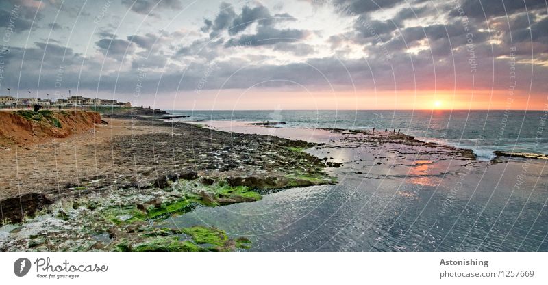 Sonnenuntergang Umwelt Natur Landschaft Pflanze Wasser Himmel Wolken Horizont Sonnenaufgang Sonnenlicht Sommer Wetter Moos Wellen Küste Strand Meer Atlantik